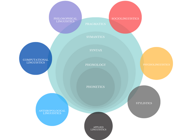 Domains in Linguistics